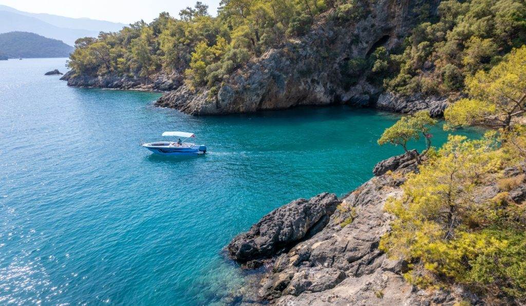 Eco-Tours with Expert Guides
