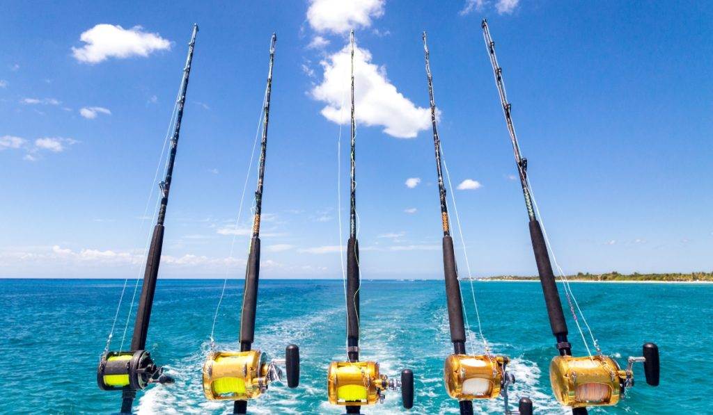 Explore thrilling deep sea fishing adventures in Marco Island